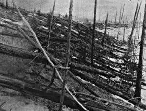 Space shuttle exhaust hints comet caused Tunguska blast