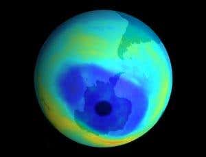 New Scientist. Science news and long reads from expert journalists, covering developments in science, technology, health and the environment on the website and the magazine.