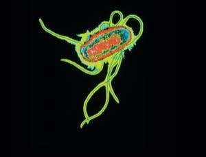 New Scientist. Science news and long reads from expert journalists, covering developments in science, technology, health and the environment on the website and the magazine.