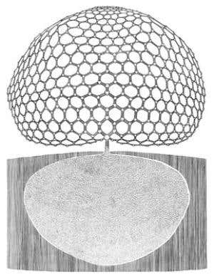 New Scientist. Science news and long reads from expert journalists, covering developments in science, technology, health and the environment on the website and the magazine.