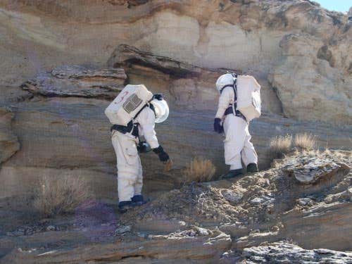 Researchers test new visual detection algorithms that analyze images taken on a camera phone. They could be implemented on Mars robots to search for signs of organic matter