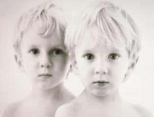 Virtual twins could bring the end of animal research