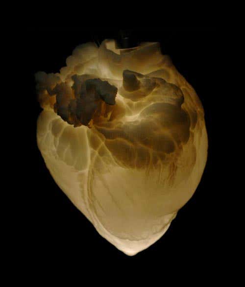 New Scientist. Science news and long reads from expert journalists, covering developments in science, technology, health and the environment on the website and the magazine.