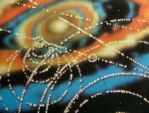 New Scientist. Science news and long reads from expert journalists, covering developments in science, technology, health and the environment on the website and the magazine.