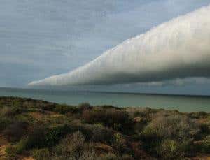 Grey-sky thinking: Extraordinary clouds
