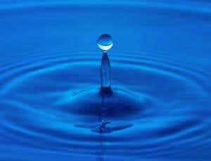 Gravity mysteries: Does life need gravity?