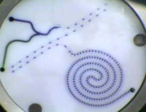 This microreactor chamber mixes and cures polymer beads into a microlung. The beads are produced from human lung tissue 