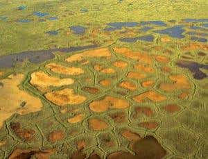 New Scientist. Science news and long reads from expert journalists, covering developments in science, technology, health and the environment on the website and the magazine.