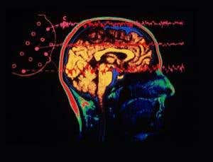 Disorderly genius: How chaos drives the brain