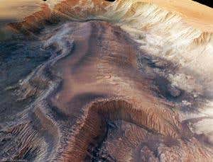 New Scientist. Science news and long reads from expert journalists, covering developments in science, technology, health and the environment on the website and the magazine.