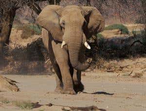 New Scientist. Science news and long reads from expert journalists, covering developments in science, technology, health and the environment on the website and the magazine.