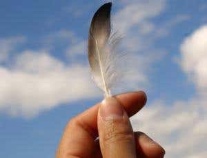 New Scientist. Science news and long reads from expert journalists, covering developments in science, technology, health and the environment on the website and the magazine.