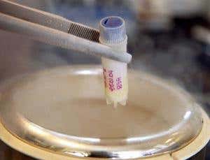 New Scientist. Science news and long reads from expert journalists, covering developments in science, technology, health and the environment on the website and the magazine.