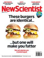 New Scientist issue 2717 cover