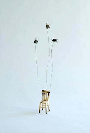 New Scientist. Science news and long reads from expert journalists, covering developments in science, technology, health and the environment on the website and the magazine.