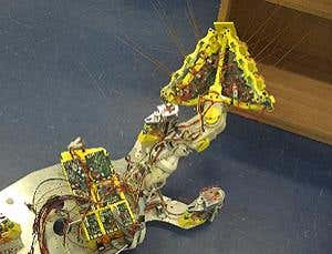 New Scientist. Science news and long reads from expert journalists, covering developments in science, technology, health and the environment on the website and the magazine.