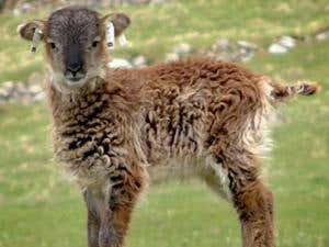 New Scientist. Science news and long reads from expert journalists, covering developments in science, technology, health and the environment on the website and the magazine.