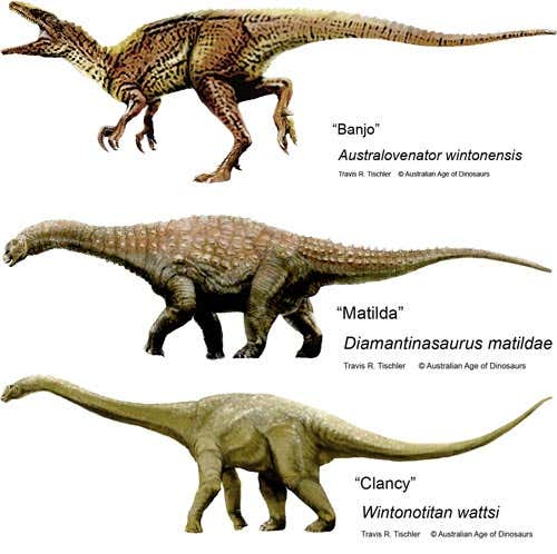 The two titanosaurs came from the same deposits as the predator. Both were 16 to 18 metres long, but one was built lightly like a giraffe, while the other was elephant-like and massive