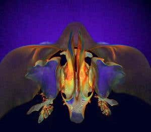 New Scientist. Science news and long reads from expert journalists, covering developments in science, technology, health and the environment on the website and the magazine.