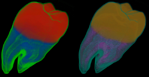 Limited-colour screens could boost cellphone battery life