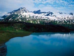 New Scientist. Science news and long reads from expert journalists, covering developments in science, technology, health and the environment on the website and the magazine.