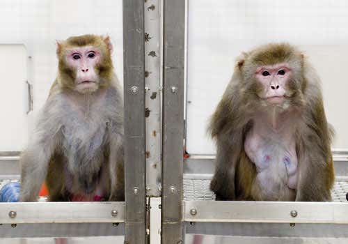 New Scientist. Science news and long reads from expert journalists, covering developments in science, technology, health and the environment on the website and the magazine.