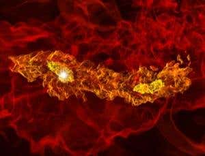 Universe's first stars may have been twins