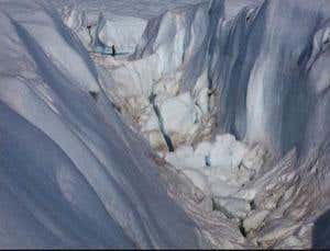 New Scientist. Science news and long reads from expert journalists, covering developments in science, technology, health and the environment on the website and the magazine.