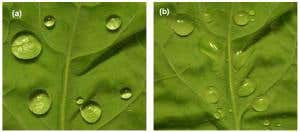 High-tech cloth is first to shed scalding water