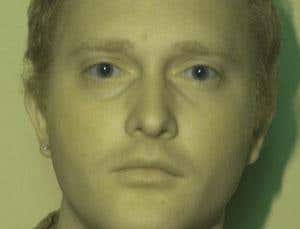 Infrared and ultraviolet light is used to take the initial image, but the hues look unnatural. So accurate colours are added via a second brief exposure taken with ambient light