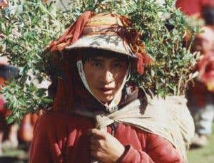 New Scientist. Science news and long reads from expert journalists, covering developments in science, technology, health and the environment on the website and the magazine.