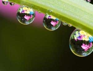 Glass leaf 'sweats' to generate electricity