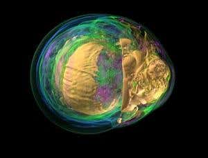 Snapshots from inside an exploding star