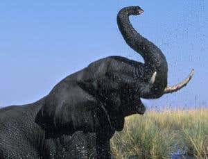 New Scientist. Science news and long reads from expert journalists, covering developments in science, technology, health and the environment on the website and the magazine.