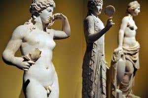 New Scientist. Science news and long reads from expert journalists, covering developments in science, technology, health and the environment on the website and the magazine.