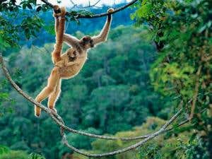 New Scientist. Science news and long reads from expert journalists, covering developments in science, technology, health and the environment on the website and the magazine.