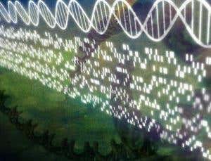 What can DNA tell us? Place your bets now