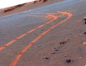 New Scientist. Science news and long reads from expert journalists, covering developments in science, technology, health and the environment on the website and the magazine.