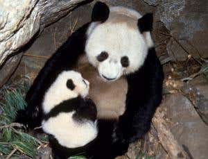 New Scientist. Science news and long reads from expert journalists, covering developments in science, technology, health and the environment on the website and the magazine.