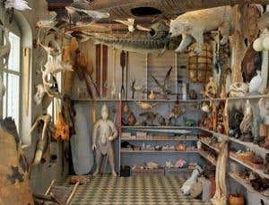 New Scientist. Science news and long reads from expert journalists, covering developments in science, technology, health and the environment on the website and the magazine.