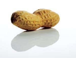 Food allergies get curiouser and curiouser