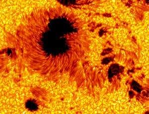 New Scientist. Science news and long reads from expert journalists, covering developments in science, technology, health and the environment on the website and the magazine.