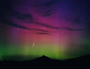 New Scientist. Science news and long reads from expert journalists, covering developments in science, technology, health and the environment on the website and the magazine.