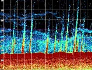 New Scientist. Science news and long reads from expert journalists, covering developments in science, technology, health and the environment on the website and the magazine.