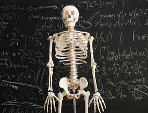 New Scientist. Science news and long reads from expert journalists, covering developments in science, technology, health and the environment on the website and the magazine.