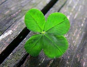 10 Mysteries of you: Superstition