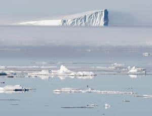 New Scientist. Science news and long reads from expert journalists, covering developments in science, technology, health and the environment on the website and the magazine.