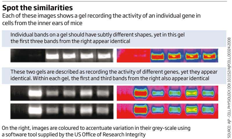 New Scientist. Science news and long reads from expert journalists, covering developments in science, technology, health and the environment on the website and the magazine.