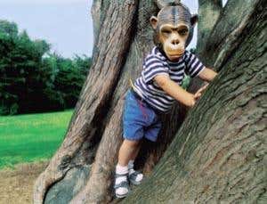 New Scientist. Science news and long reads from expert journalists, covering developments in science, technology, health and the environment on the website and the magazine.