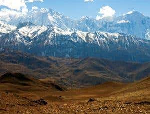 New Scientist. Science news and long reads from expert journalists, covering developments in science, technology, health and the environment on the website and the magazine.